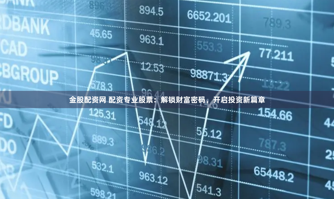 金股配资网 配资专业股票：解锁财富密码，开启投资新篇章