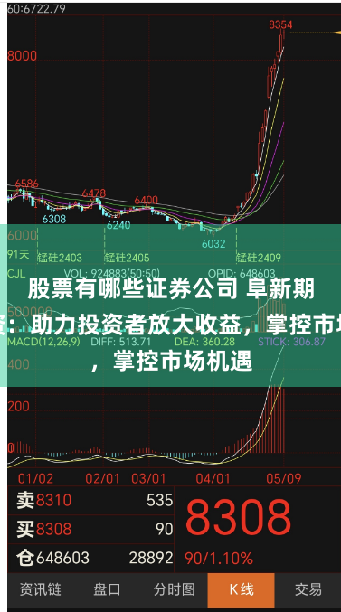 股票有哪些证券公司 阜新期货配资:助力投资者放大收益,掌控市场机遇