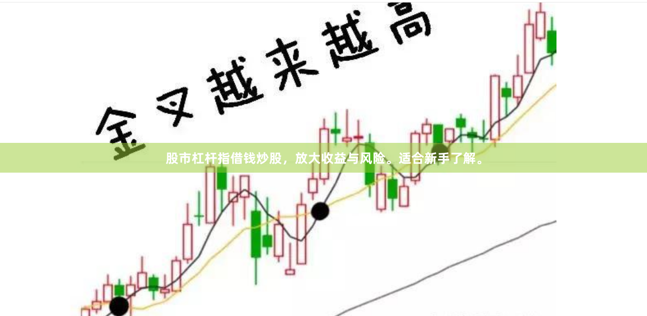 股市杠杆指借钱炒股，放大收益与风险。适合新手了解。